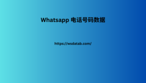 Whatsapp 电话号码数据