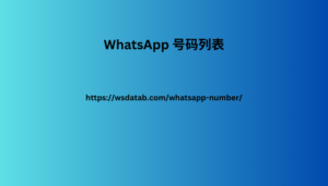 WhatsApp 号码列表