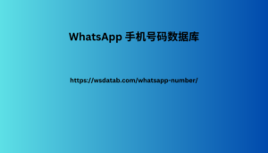 WhatsApp 手机号码数据库