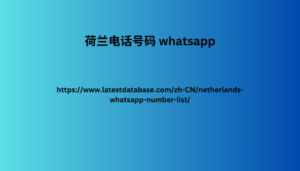 荷兰电话号码 whatsapp