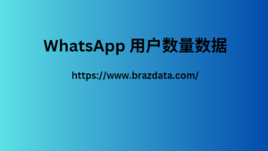 WhatsApp 用户数量数据