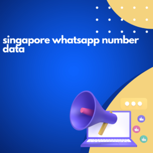 singapore whatsapp number data